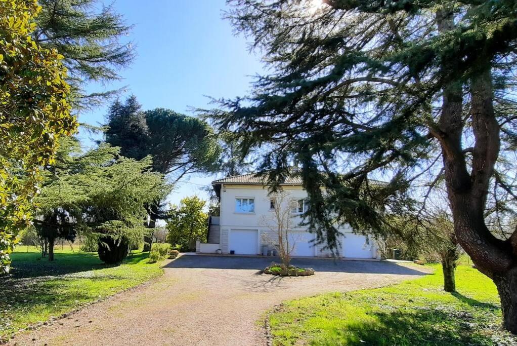 La Maison De Lili Colayrac-Saint-Cirq エクステリア 写真
