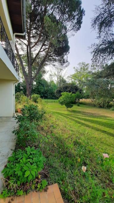 La Maison De Lili Colayrac-Saint-Cirq エクステリア 写真