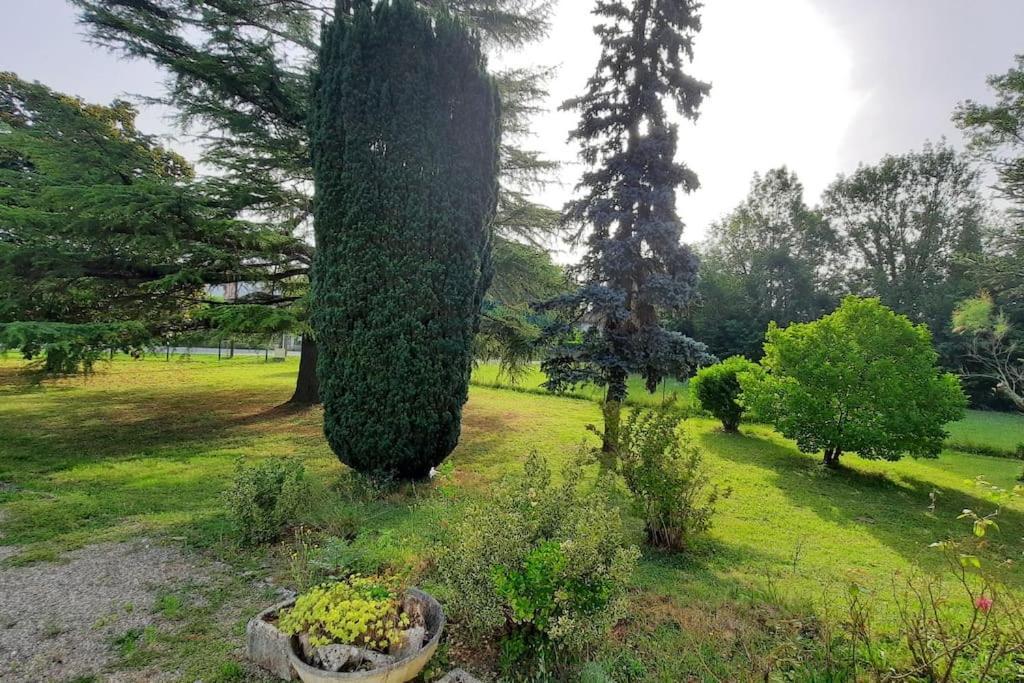 La Maison De Lili Colayrac-Saint-Cirq エクステリア 写真