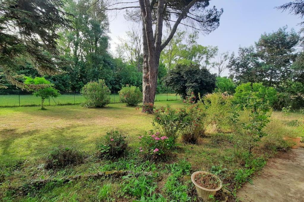 La Maison De Lili Colayrac-Saint-Cirq エクステリア 写真