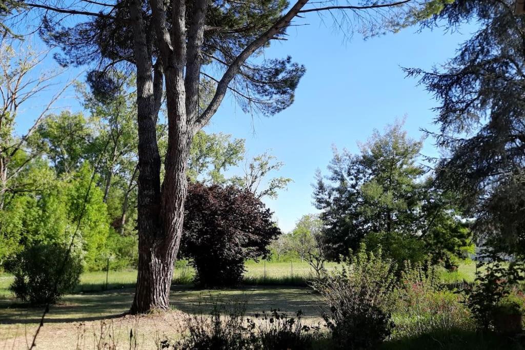La Maison De Lili Colayrac-Saint-Cirq エクステリア 写真